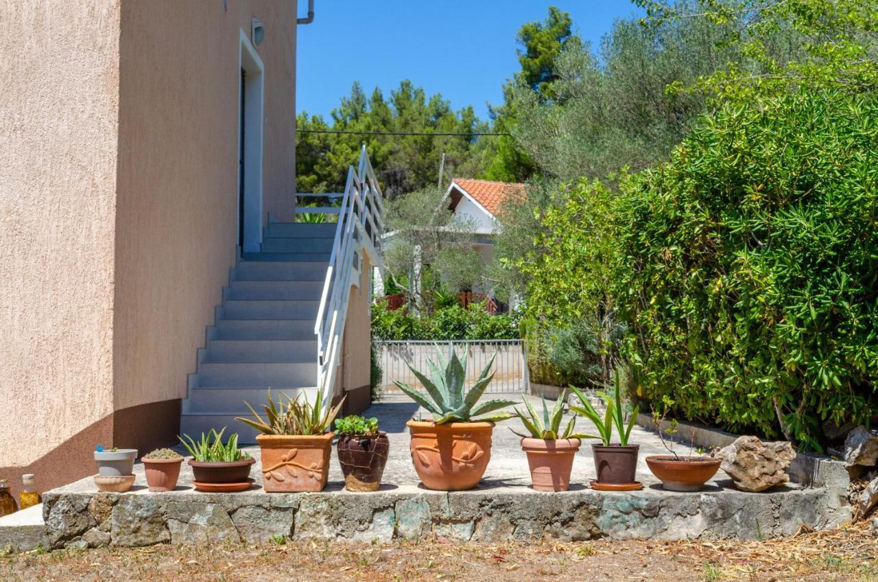 Apartment Tanja Vela Luka Εξωτερικό φωτογραφία