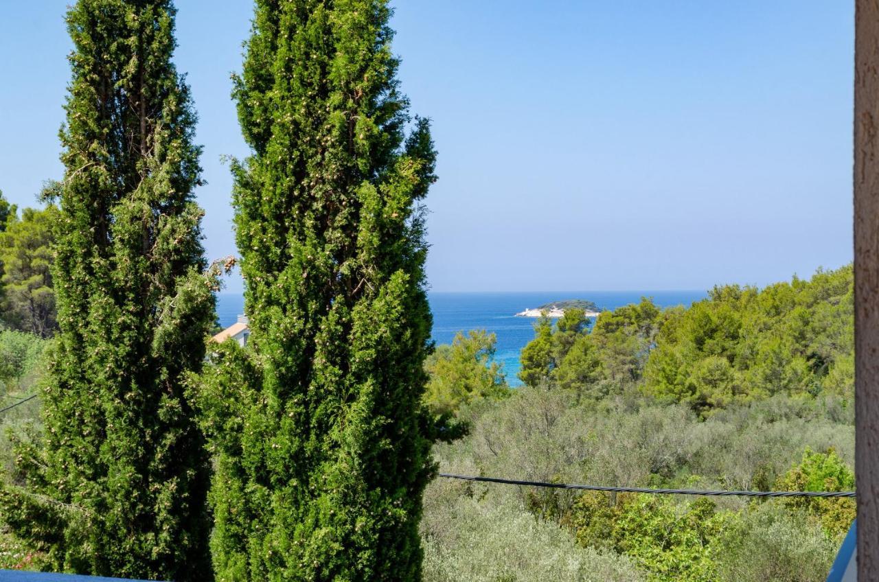 Apartment Tanja Vela Luka Εξωτερικό φωτογραφία