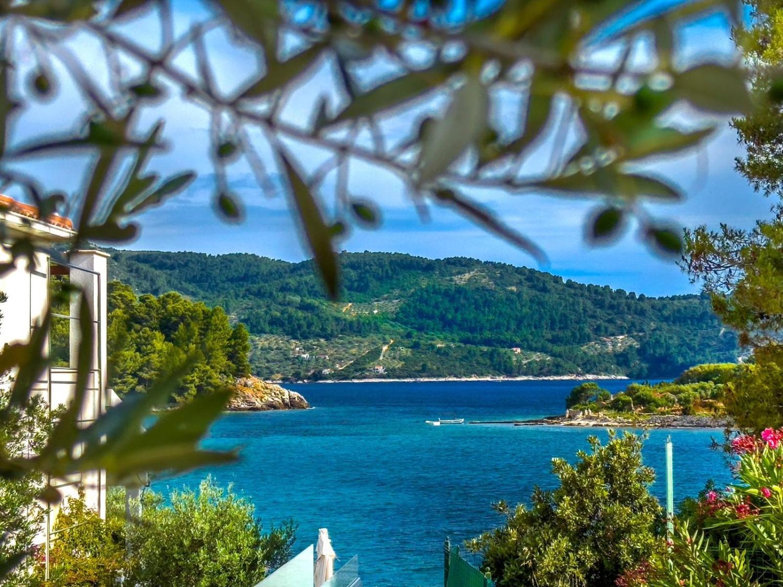 Apartment Tanja Vela Luka Εξωτερικό φωτογραφία