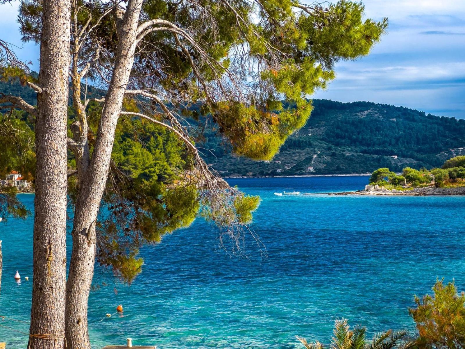 Apartment Tanja Vela Luka Εξωτερικό φωτογραφία