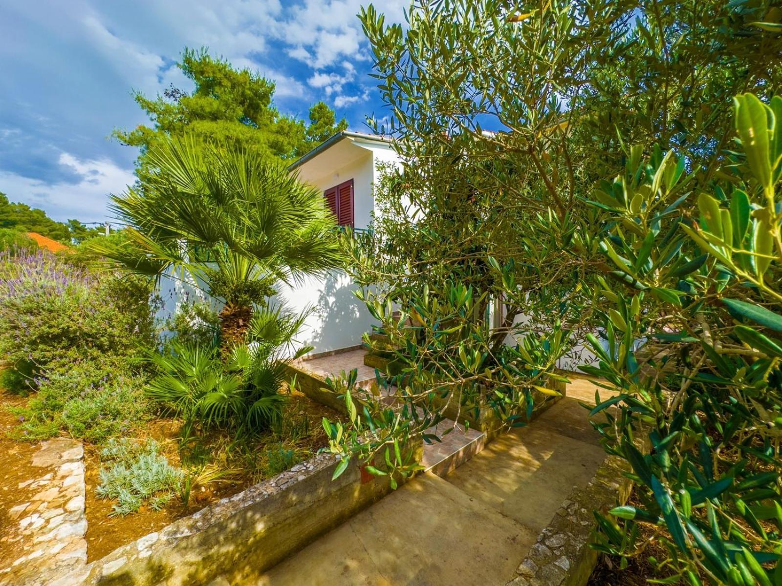 Apartment Tanja Vela Luka Εξωτερικό φωτογραφία
